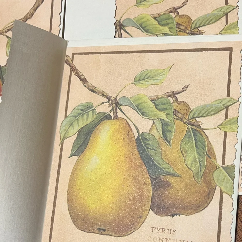 Southern Living 2002 Meg Page's Pears Artwork Blank 11 Cards and Evenlopes